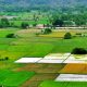 Agricultural-farm-lands-India