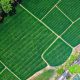 Farm-land-for-sale