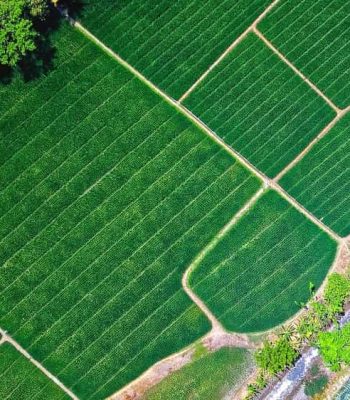 Farm-land-for-sale